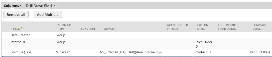 NetSuite Search Results - Detailed View